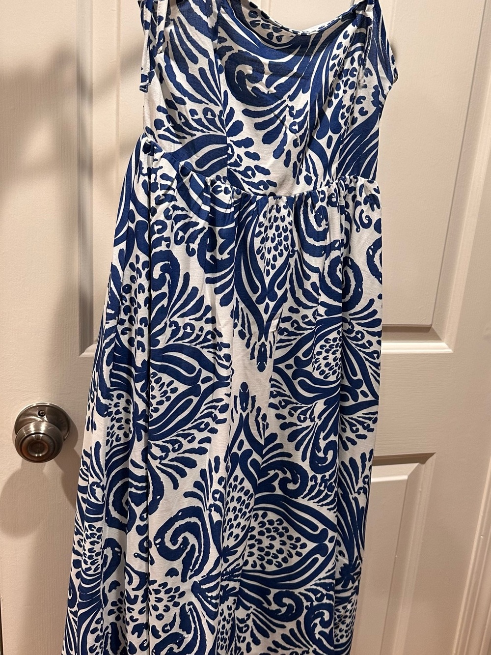 Petal & Pup Blue and White Printed Sleeveless Maxi Dress